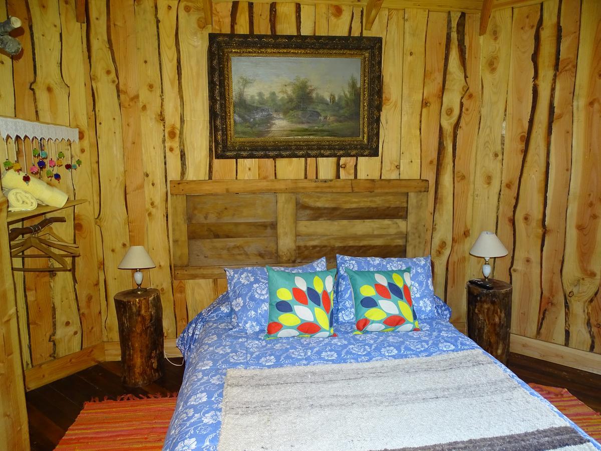 Cabanas Las Hortensias Niebla